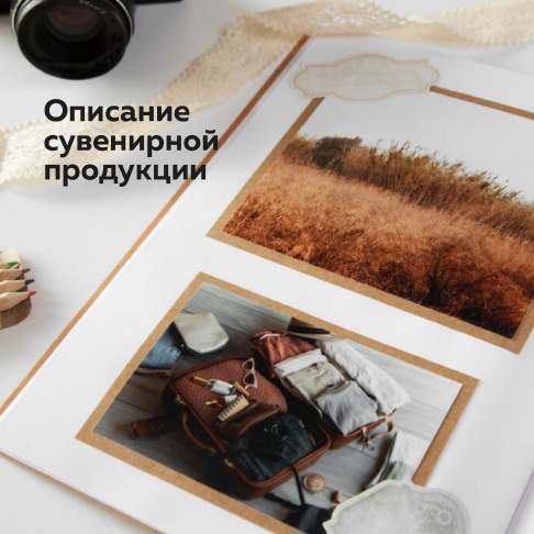 Пример отпечатков из брендбука Дома Хамелеона